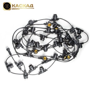 Гирлянда премиум Белт-лайт. 10 м,  шаг 25см.